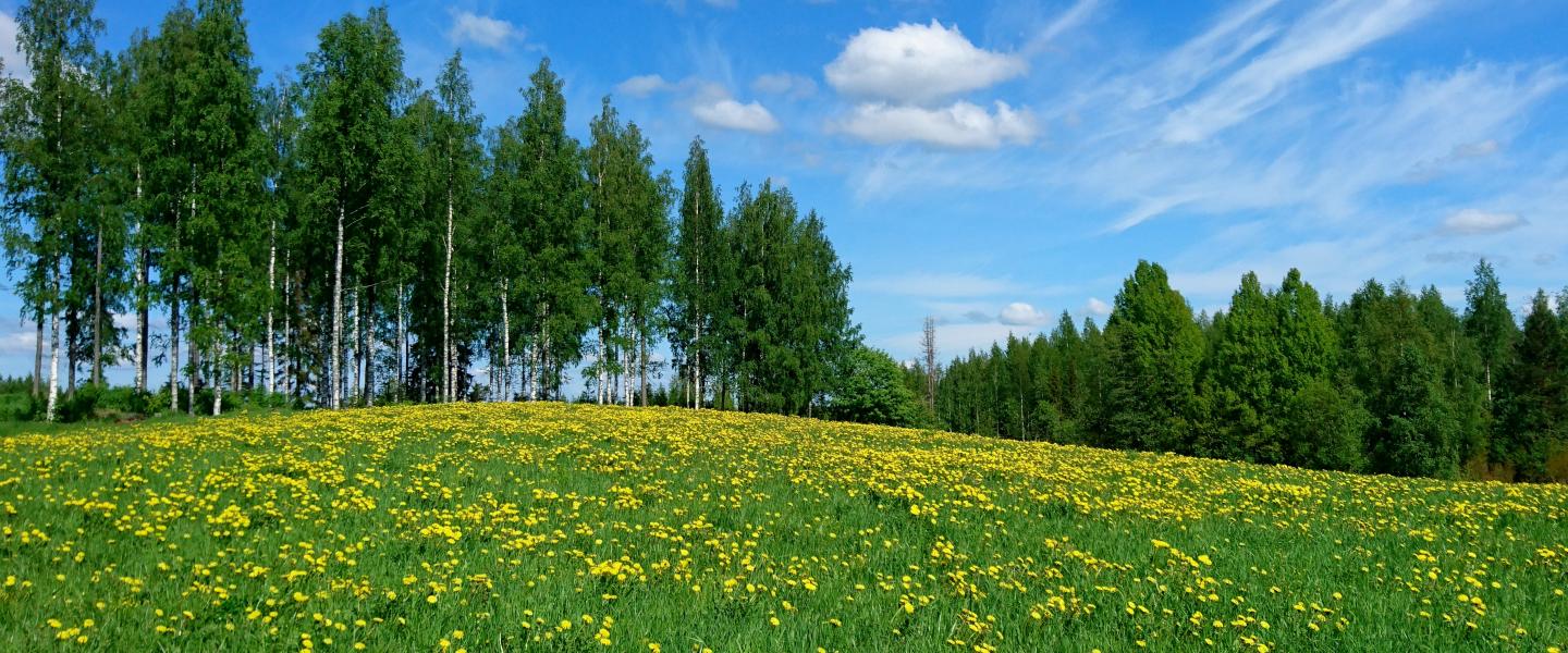 kukkapelto