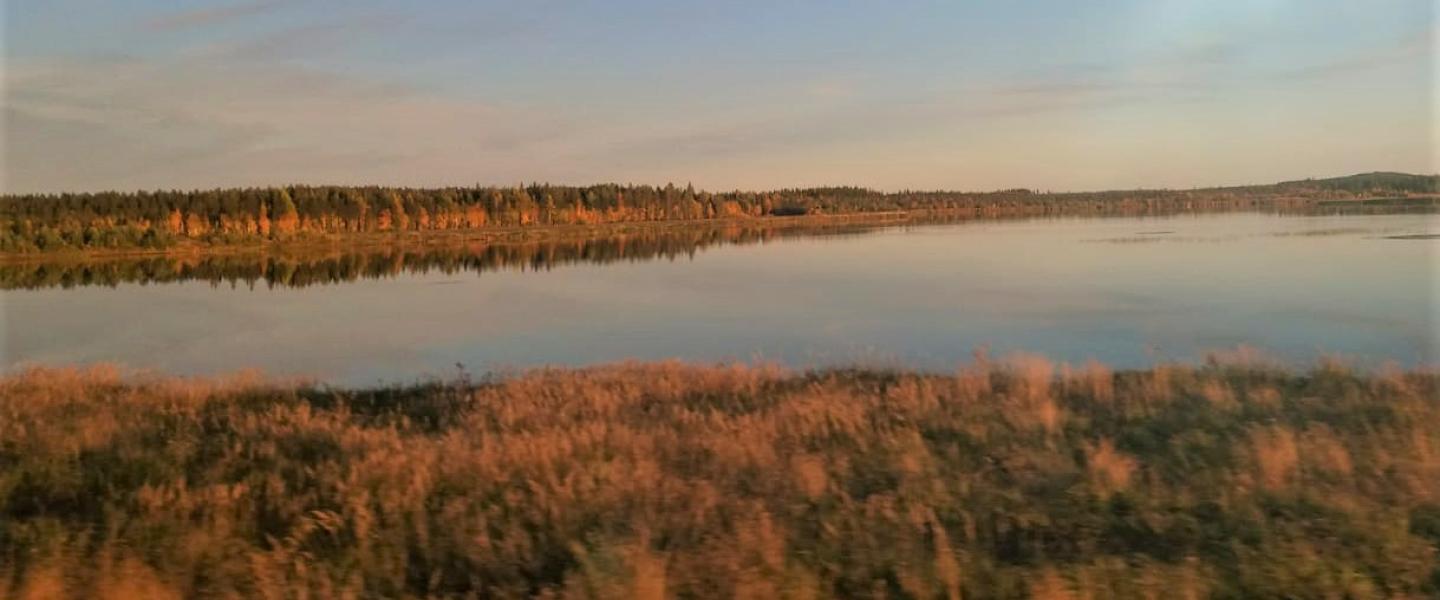 Ulkoliikuntaa