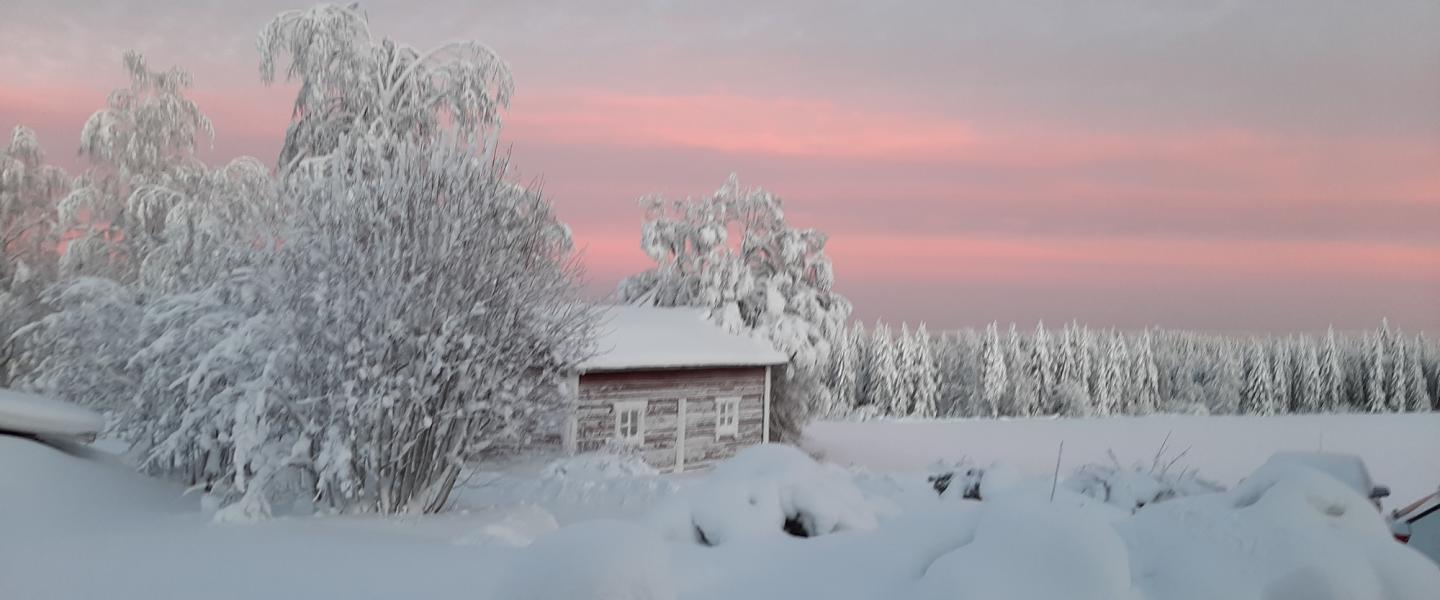 Joulujuhla Kuhmo
