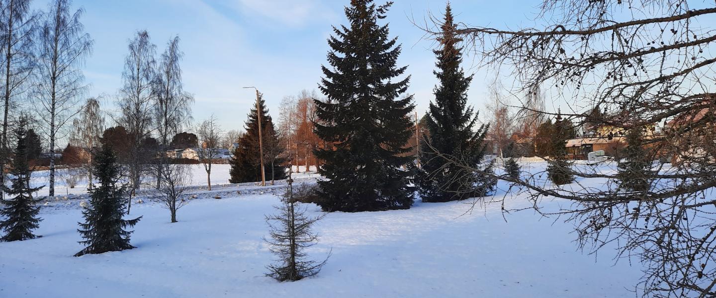 Lappajärvi talvikuva 6