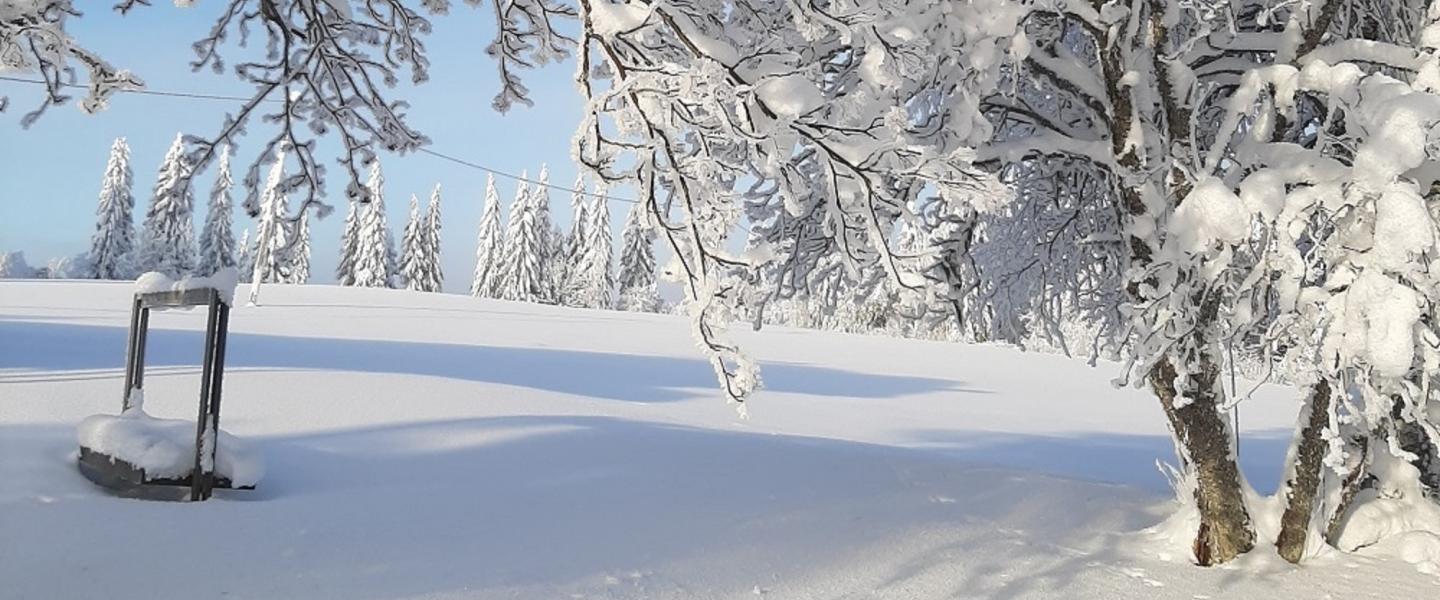 talvimaisema tänään1