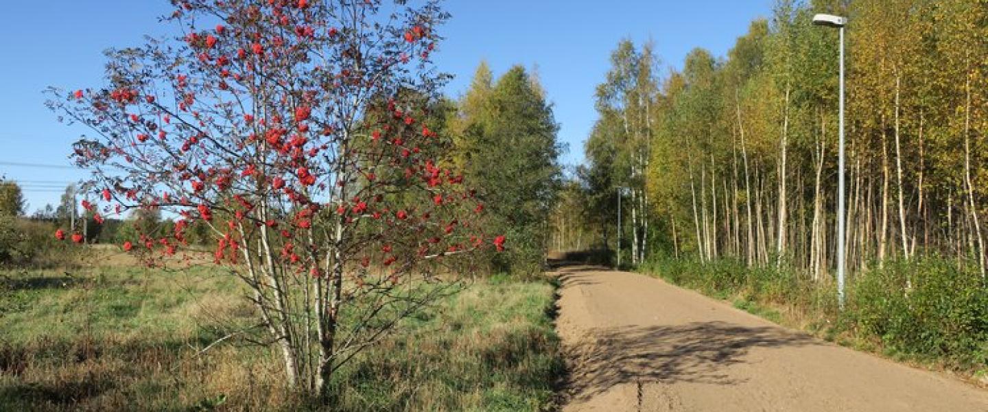 puisto
