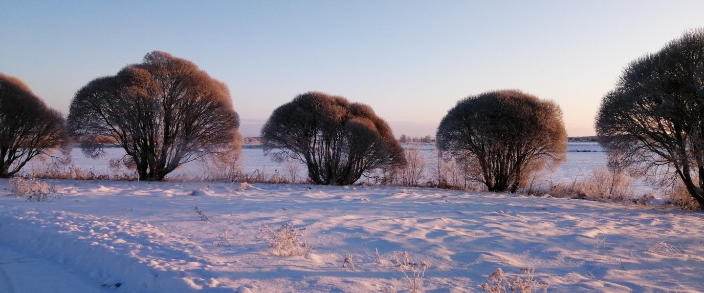 Talvi on tullut Nivalaan