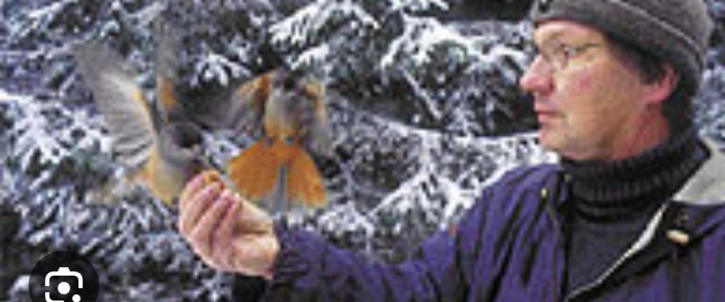 Kuukkelin vuosi