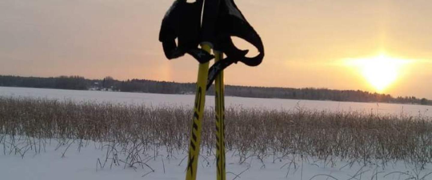 Kävely joulutauolla 1