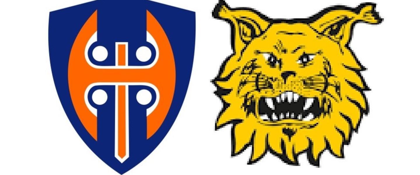 Tappara-Ilves