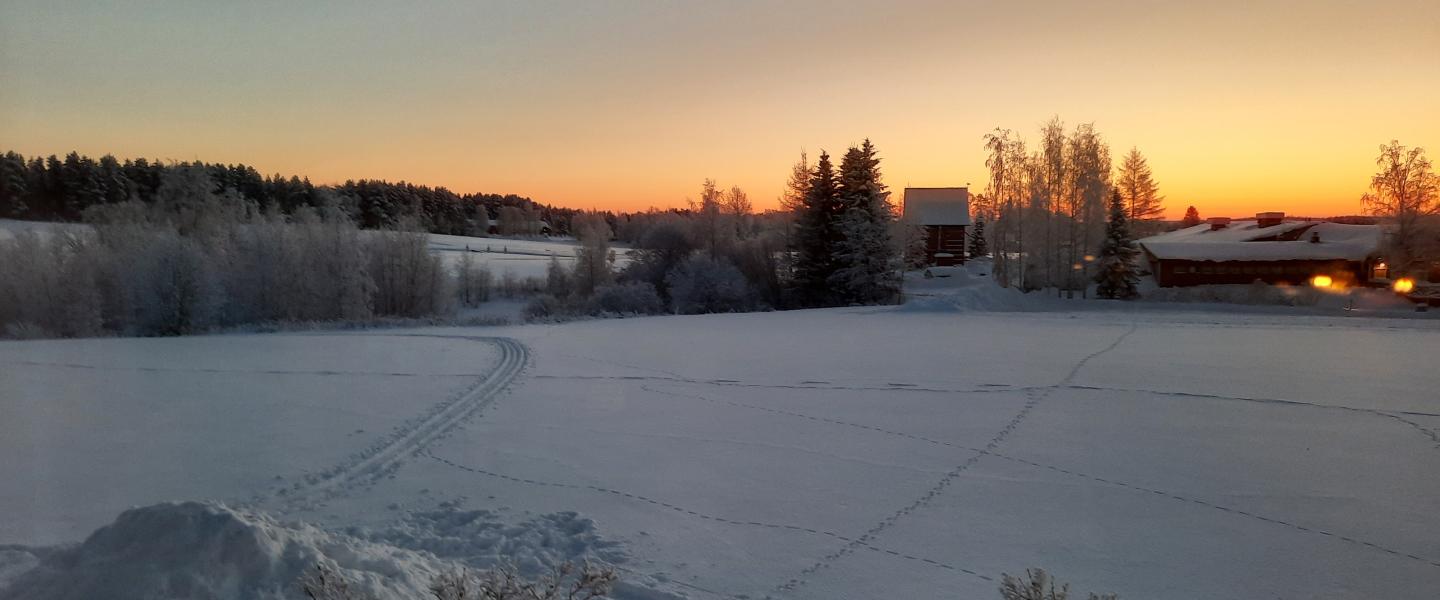 Pakkanen, Haapalanlahti 