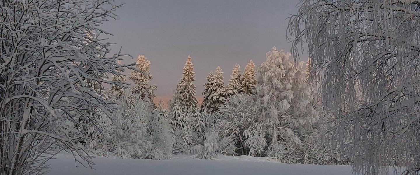 Uudet torstaikerhot