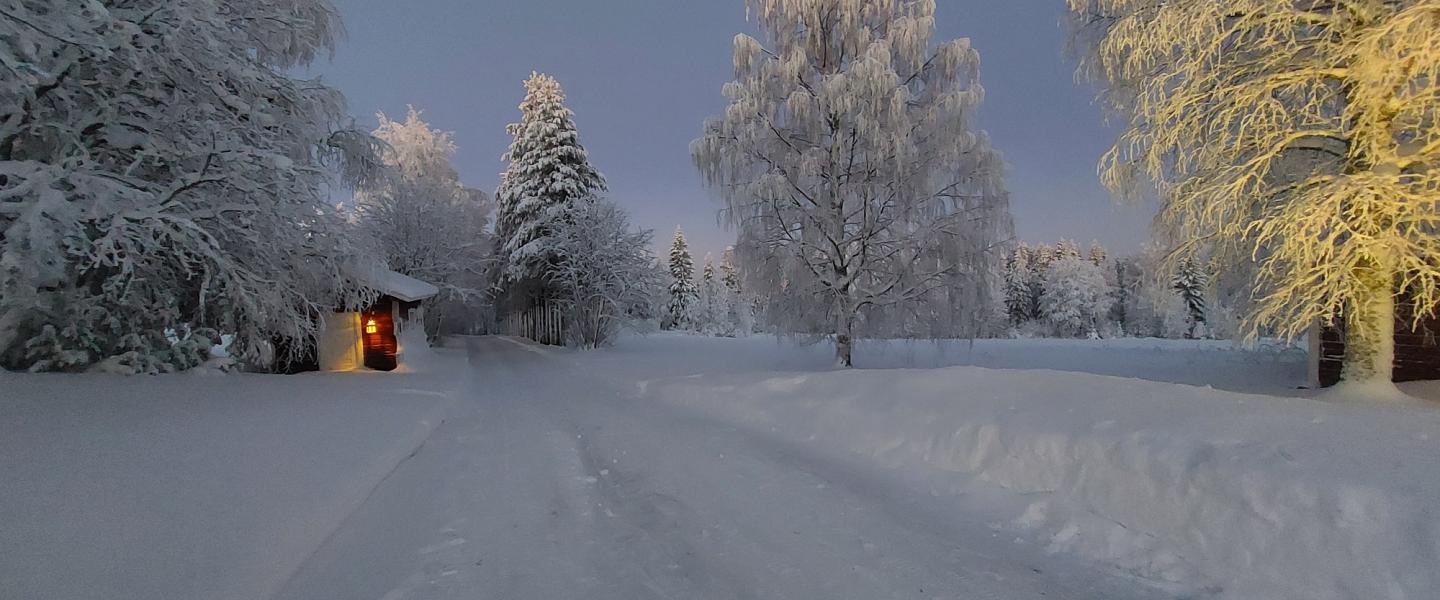 Uusi vuosi 2024 KUHMO