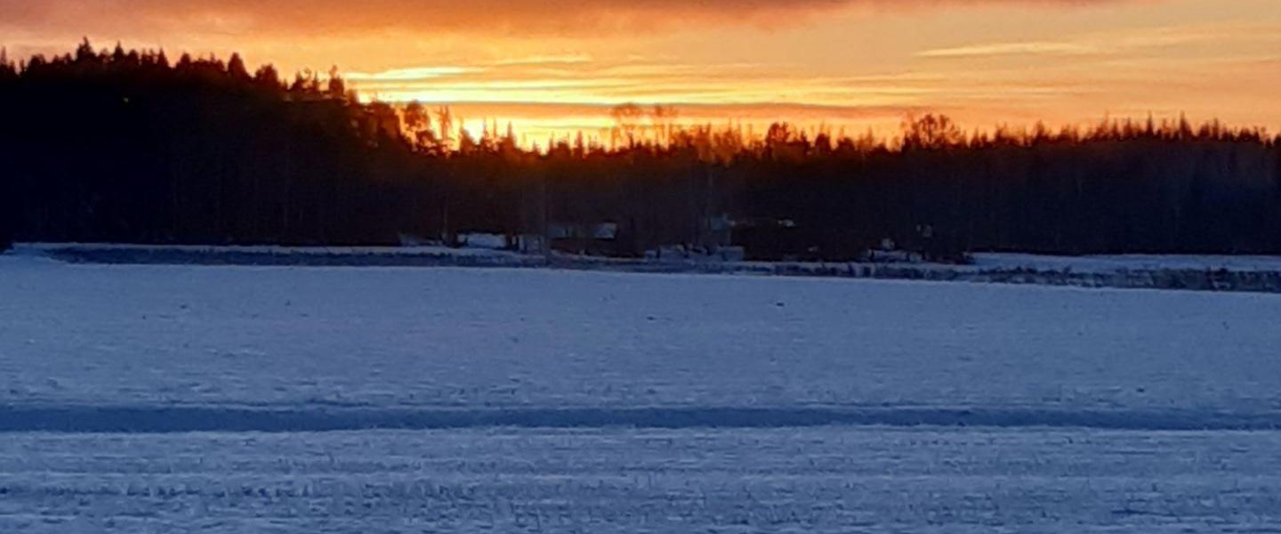 Talvimaisema aurinkoineen