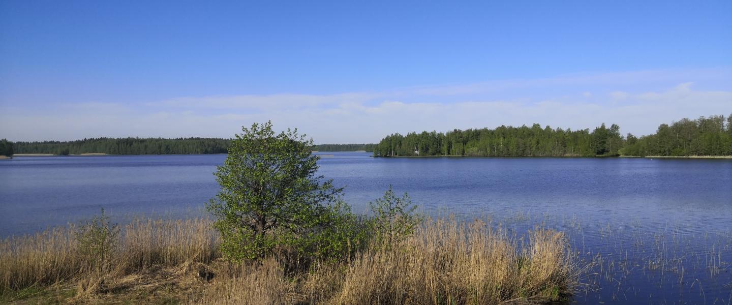Loppijärvi