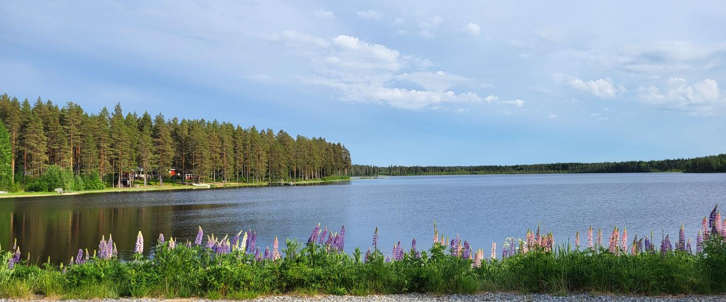 Säläisjärvi 