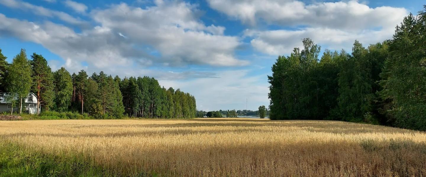 Maisemakuva Pekkolasta