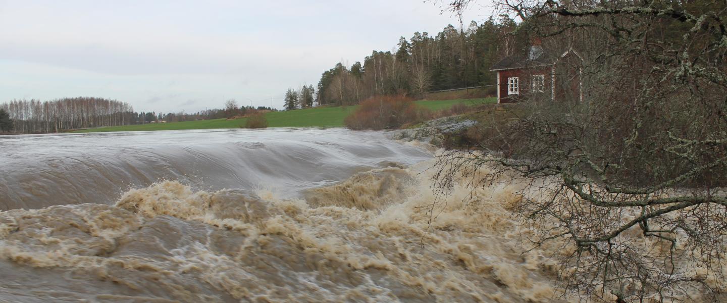 Nautelankoski 26.11.2024