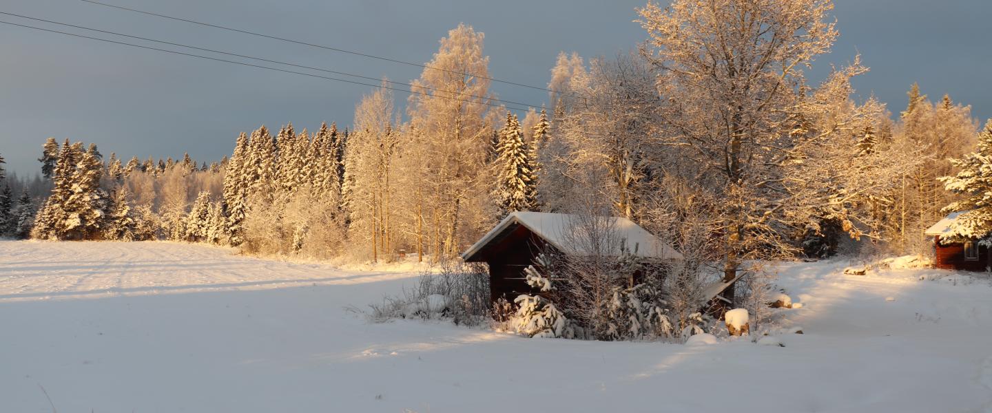 Talvimaisema