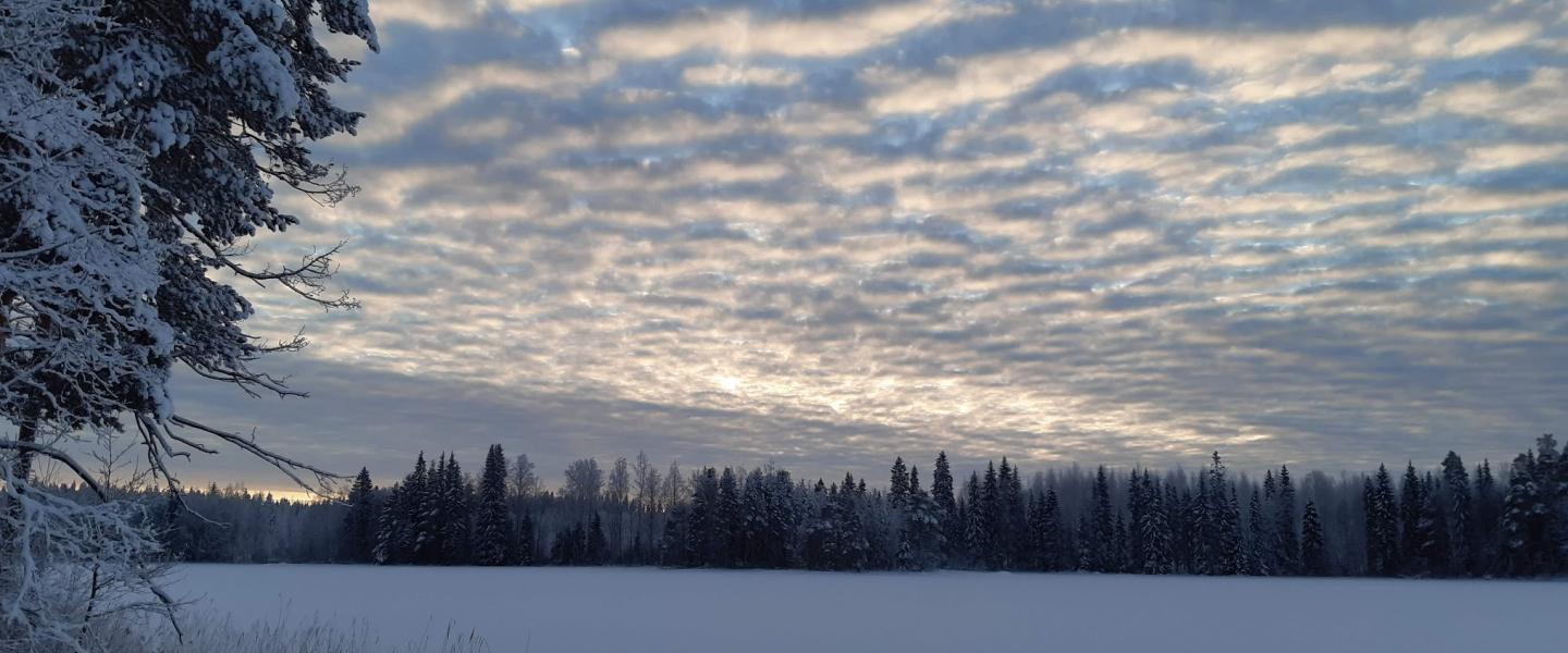 Tupapäivä