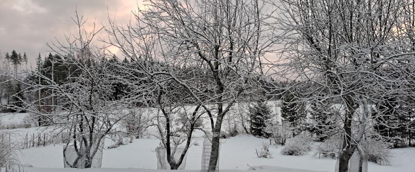 Hyvää jatkoa alkaneelle vuodelle