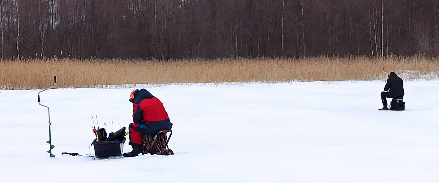 Kaksi pilkkijää