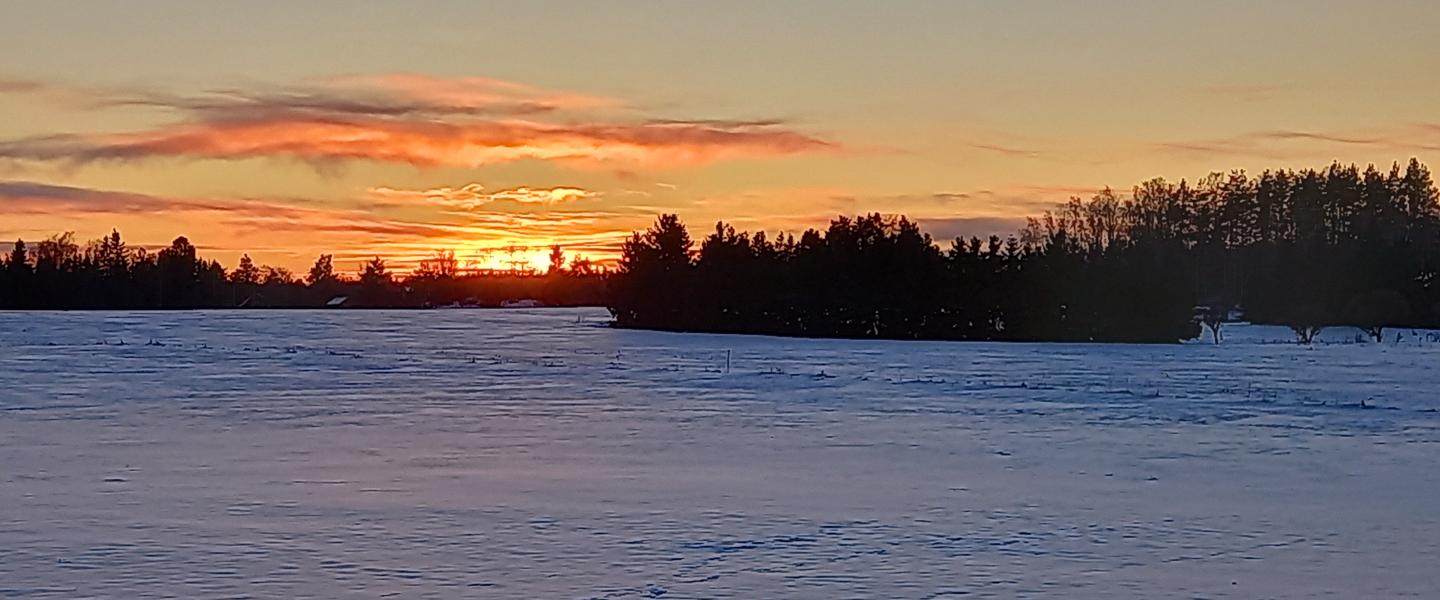 Talvi Nurmella Lempäälä