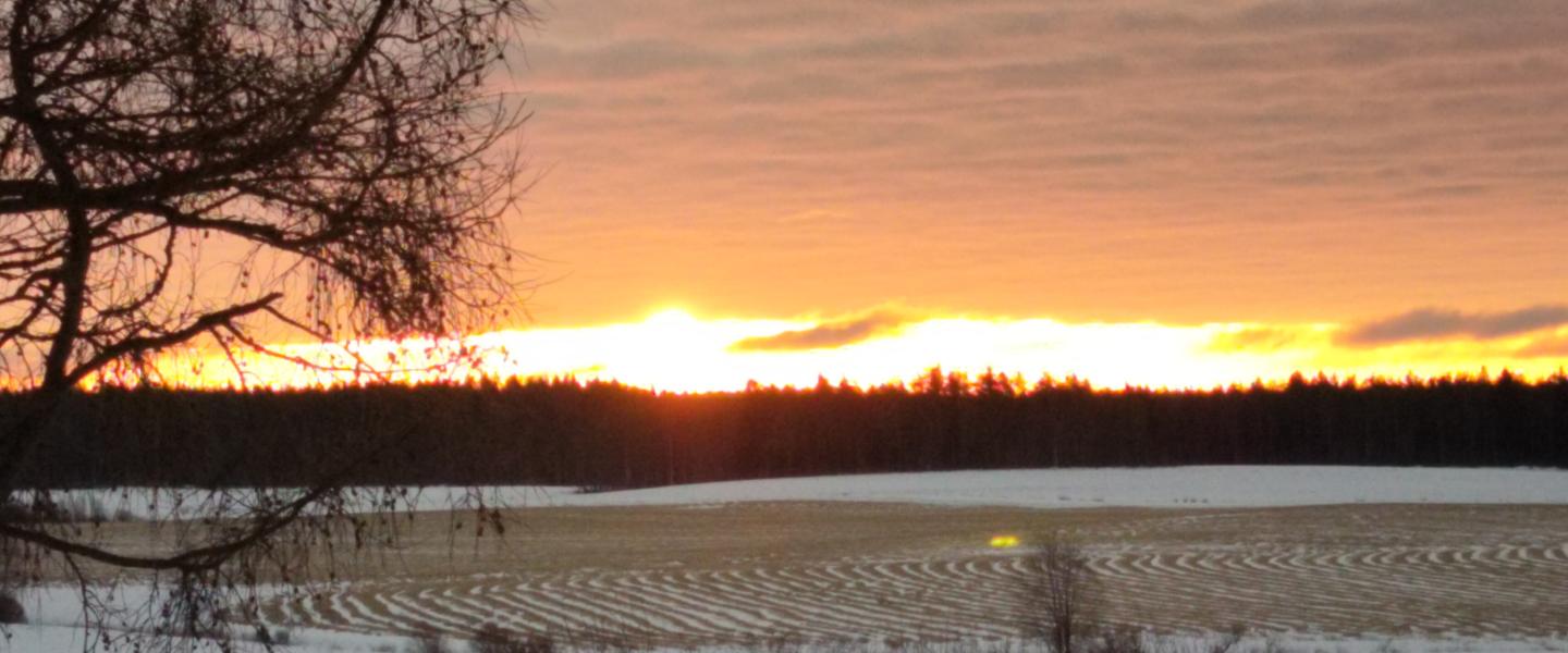 Kestilä Aurinko nousee