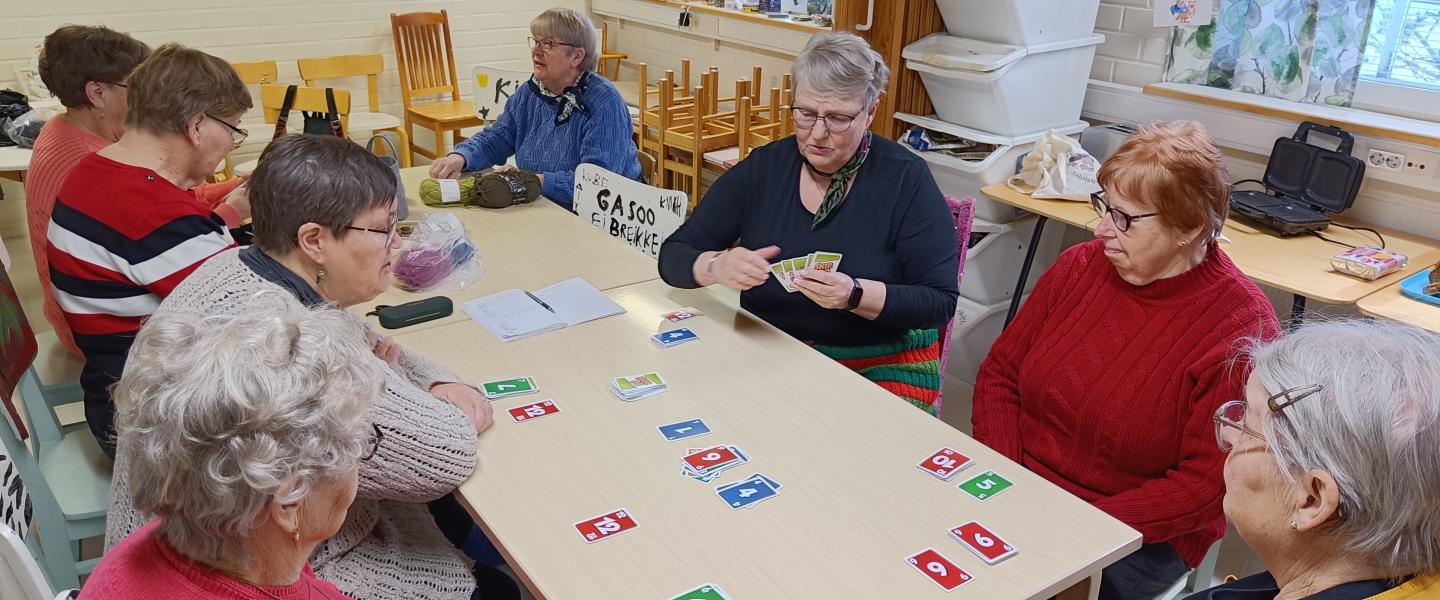 Punkalaidun naisten harrastuskerho