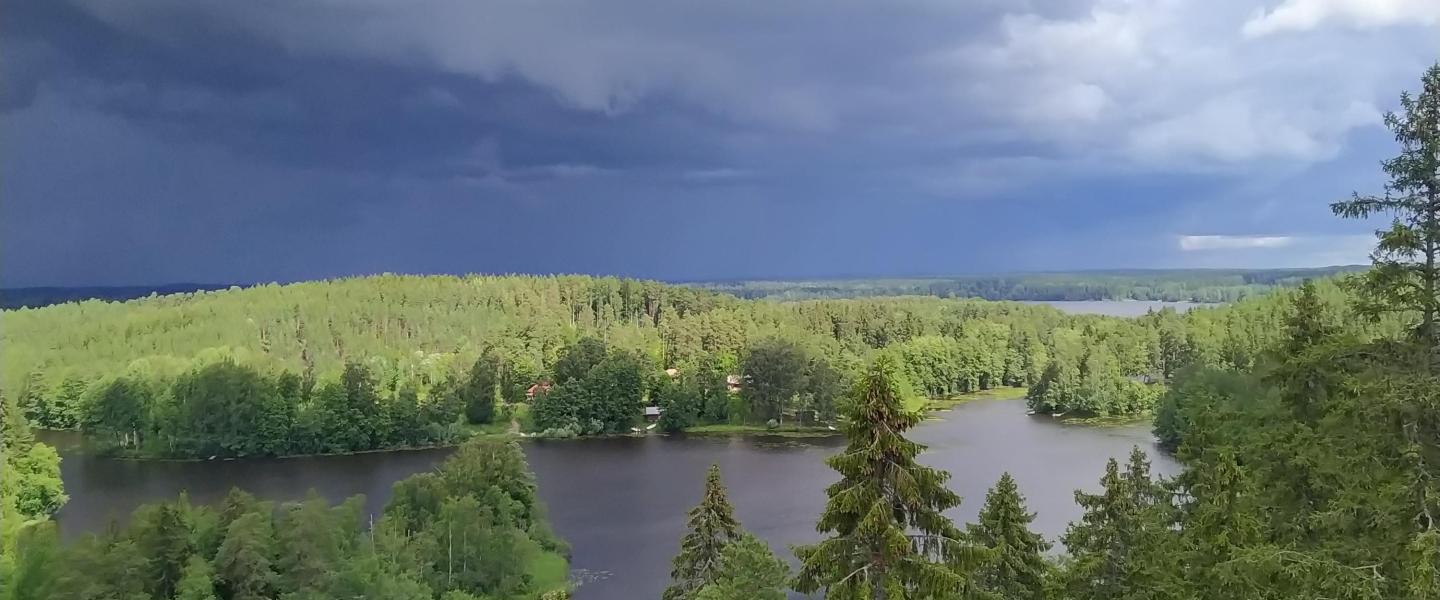 Tammela_kaukolanharjunnäkötorni1