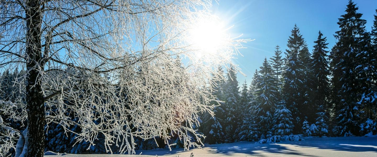 Aurinkoinen talvimaisema