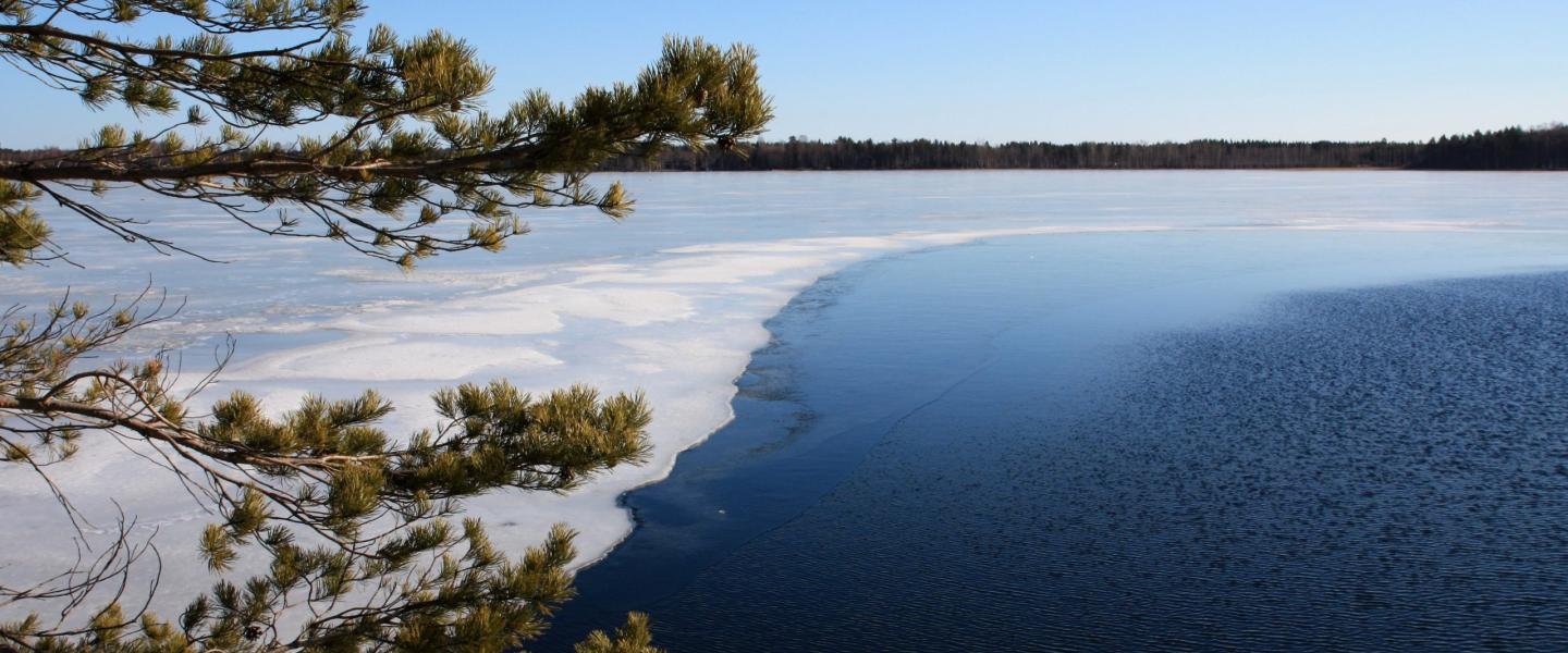 järvi