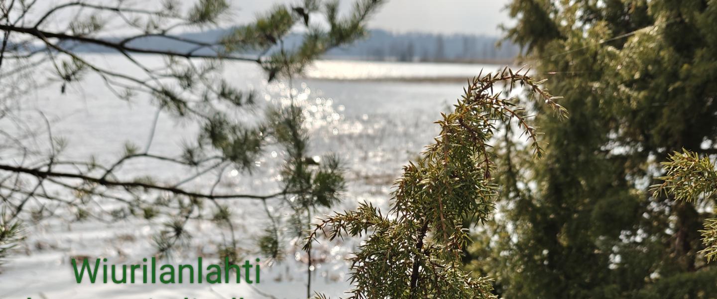 Halikko Viurilanlahti