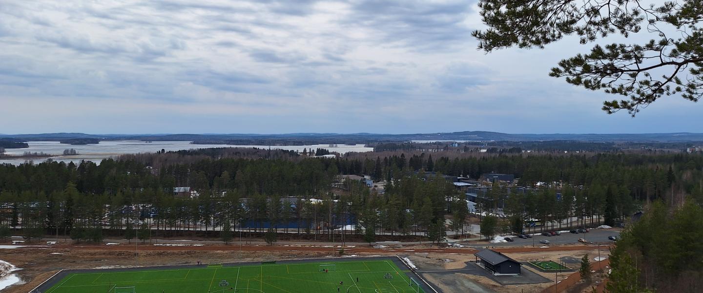 Lapinlahden Haminamäeltä maisemaa