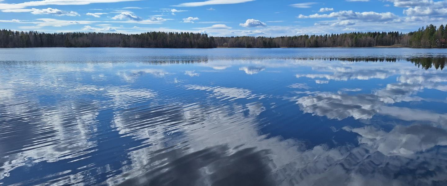 Järvi