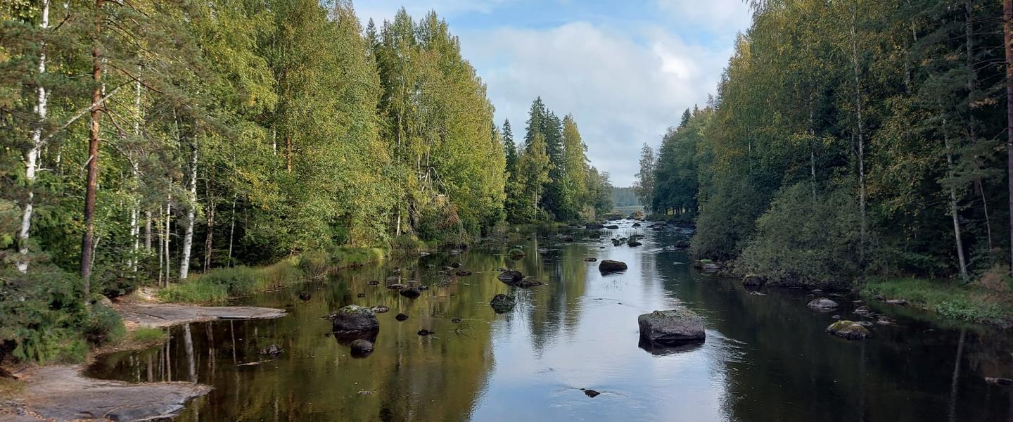 Paaskosken virta