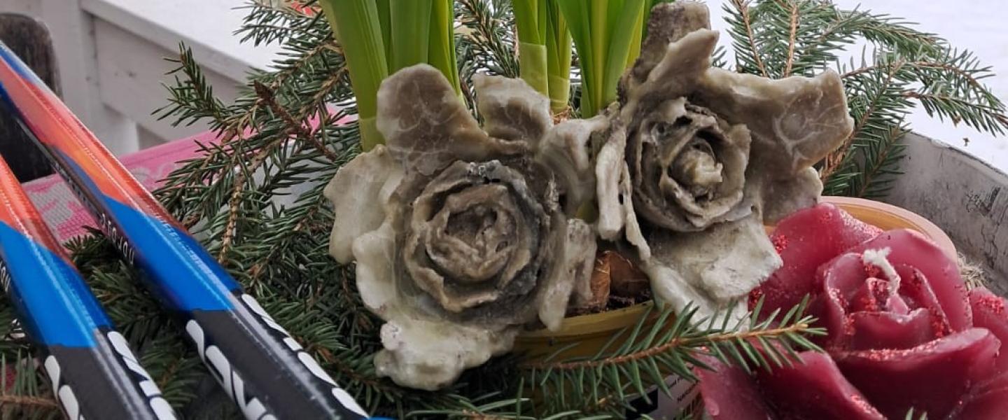 pääsiäislilja