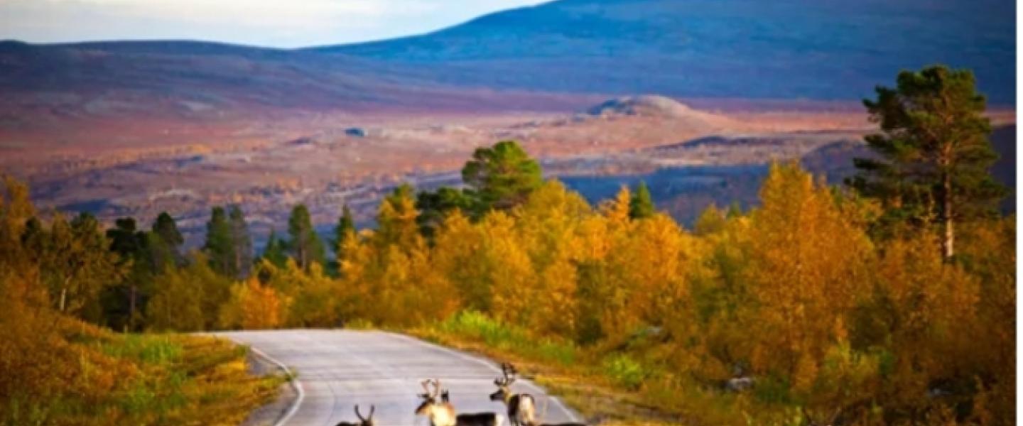Lapin luonto luo outoa taikaa