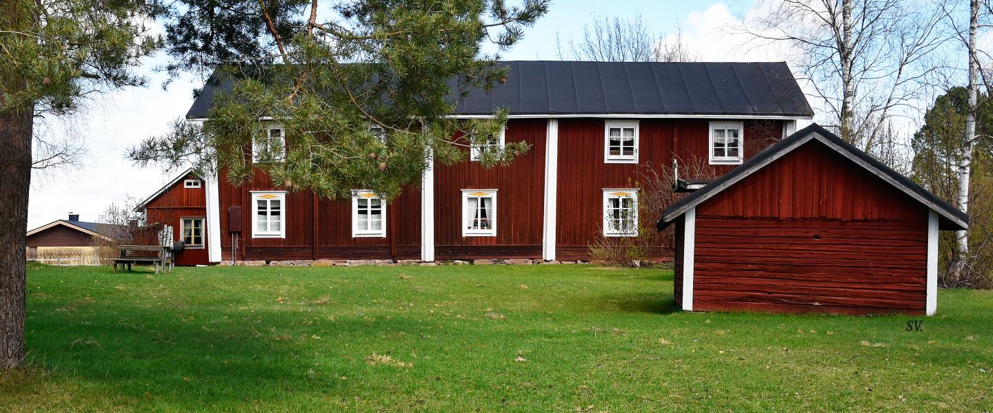 nurmo