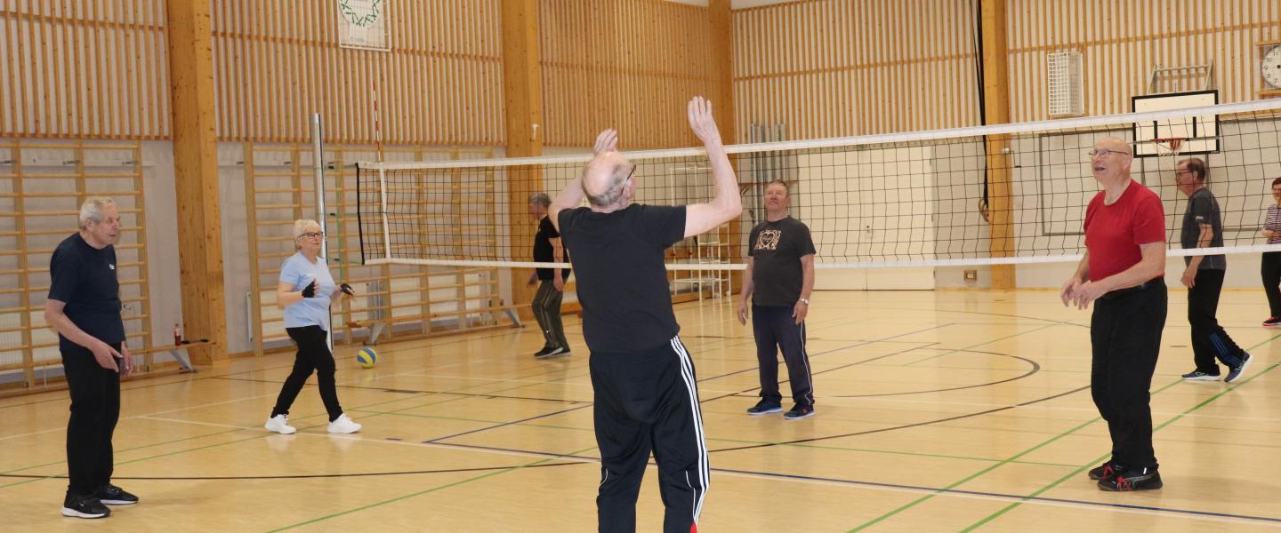 Lentopallo Koski Tl