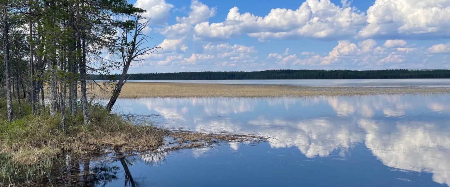 Kesä 2025
