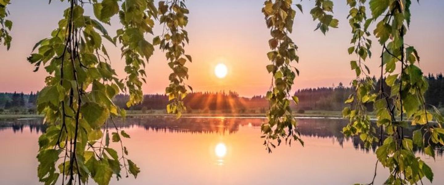 Ylöjärvi luonto