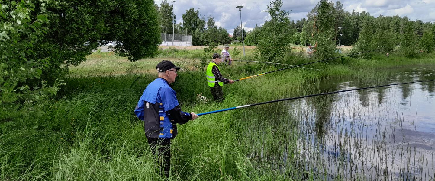 Lestijärvi rantaonginta