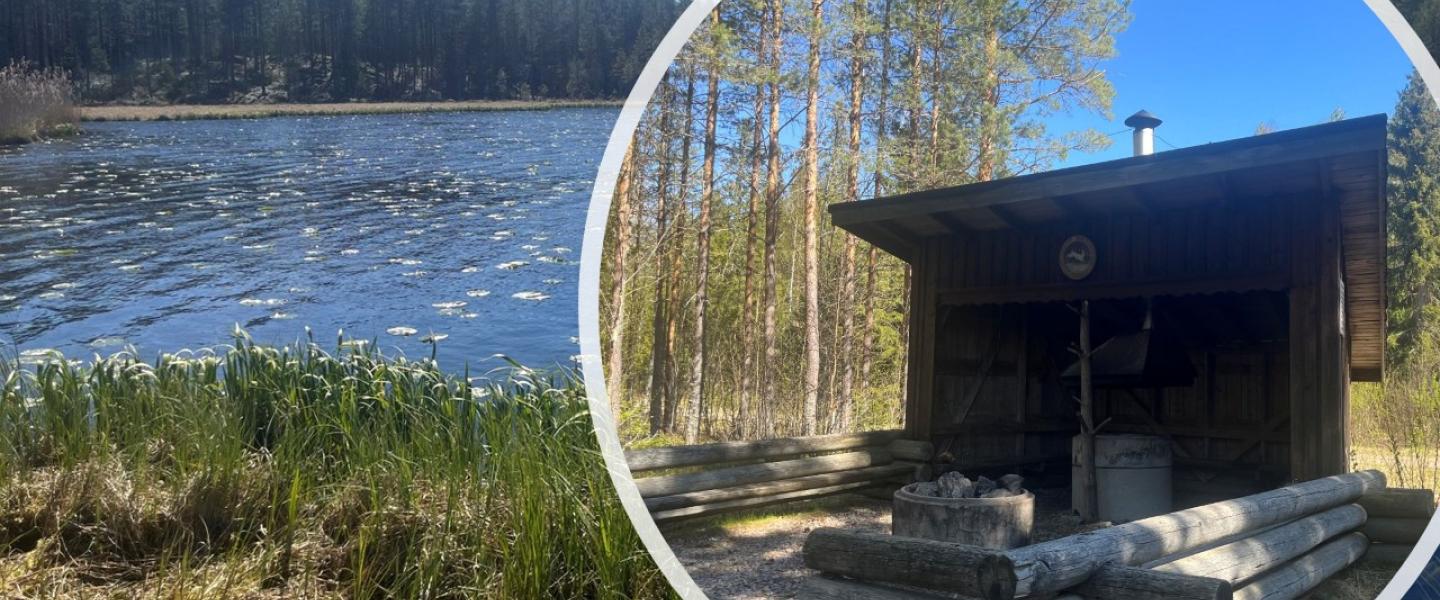 Sammakkojärvi ja grillikota