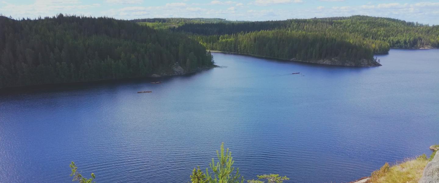 Järvimaisema