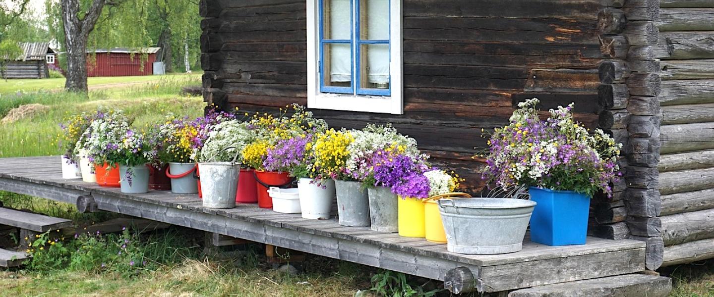 Hirsisauna, kesäkukkia kuistilla