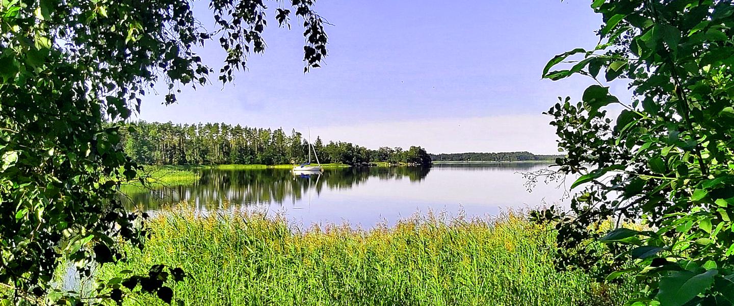 PURJEVENE