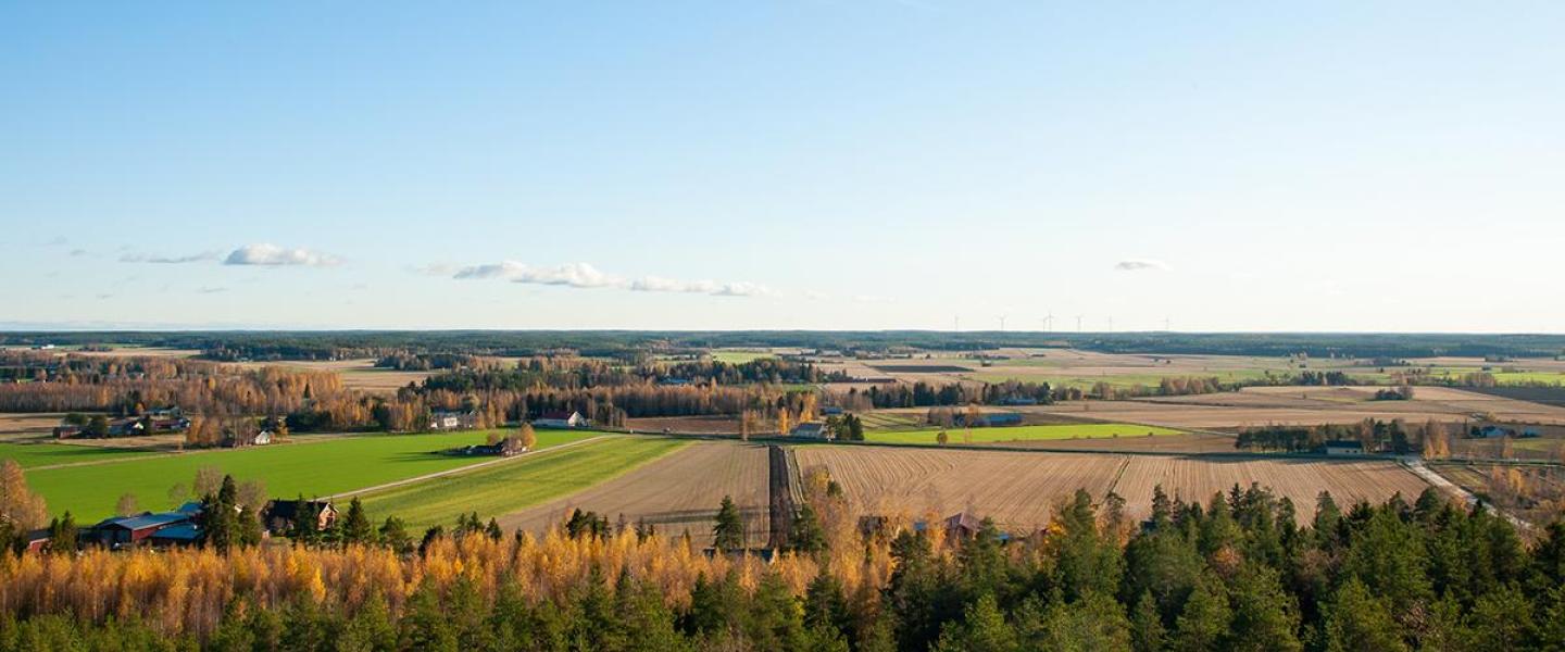 Peltoaukeama