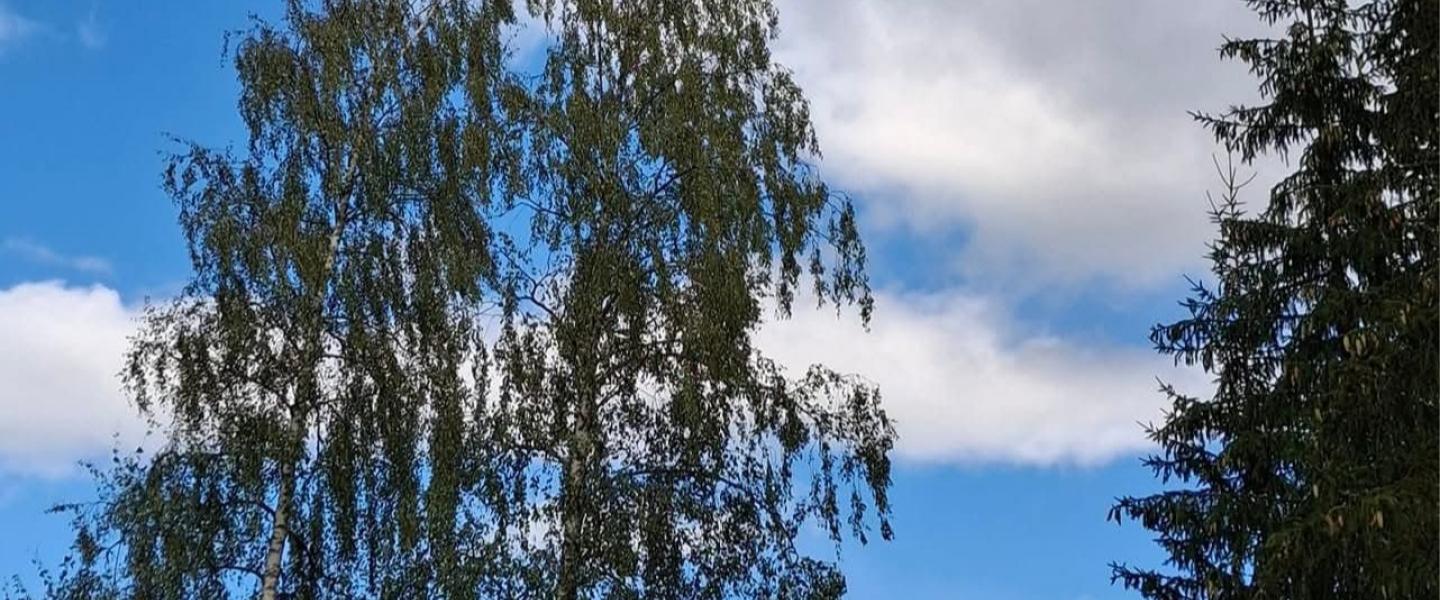 Sininen taivas Kouvola