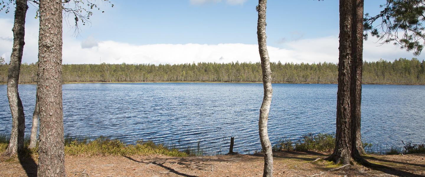 Ulkoilemaan