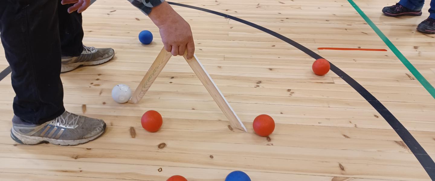 Boccia pallot
