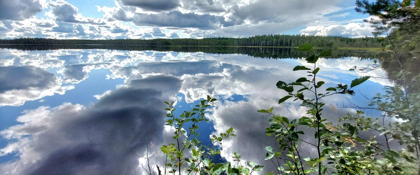 Kieverrysjarvi