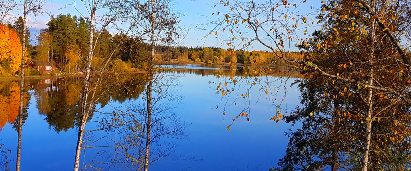 Akaa Järviö