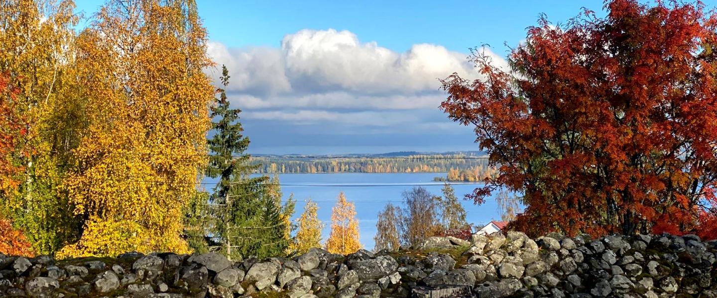 syksyinen maisema